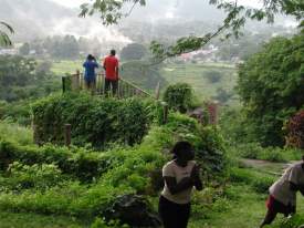 Valley View from Waterworks Nature Preserve - Negril Chamber of Commerce Community Guide Training Programme Photos - Negril Travel Guide, Negril Jamaica WI - http://www.negriltravelguide.com - info@negriltravelguide.com...!